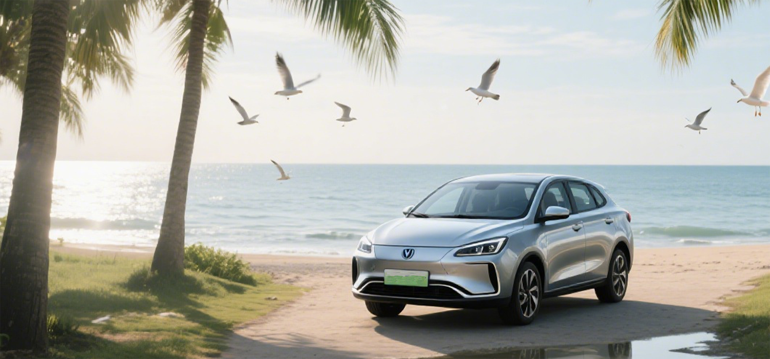 Used new energy vehicles