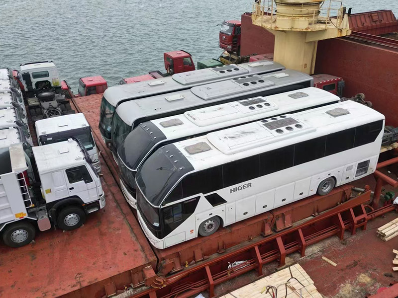 486793813_122118417986766701_7682559512584536105_n