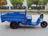 Passenger Tricycle 3 Wheel Electric Car