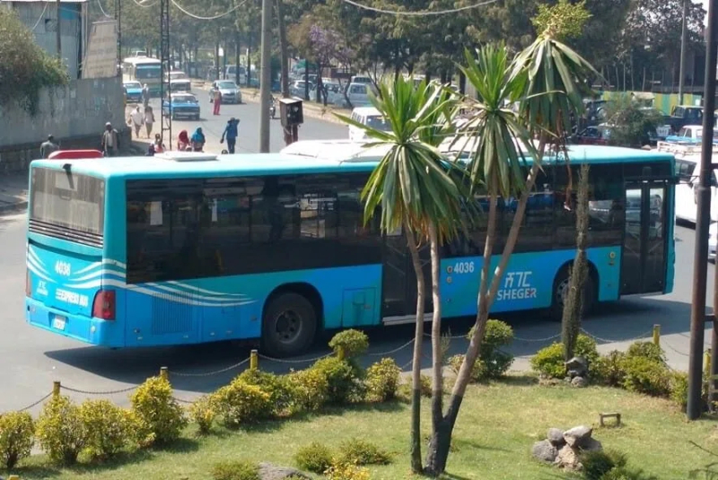 HAMBD Trading PLC HAMBD Trading PLC