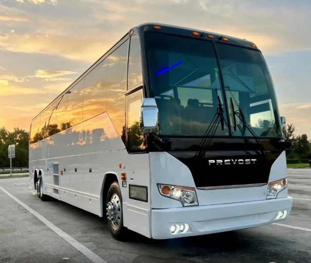 Special Transportation Services in Miami _ Togo Limos
